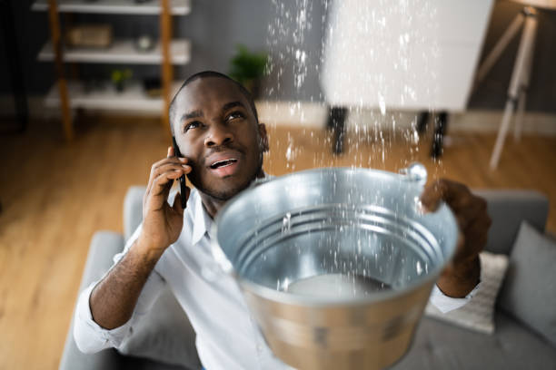Best Basement water damage restoration  in Boulder City, NV