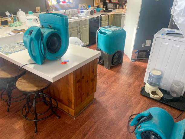  Boulder City, NV Water damage restoration Pros