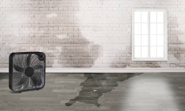 Best Emergency water damage restoration  in Boulder City, NV