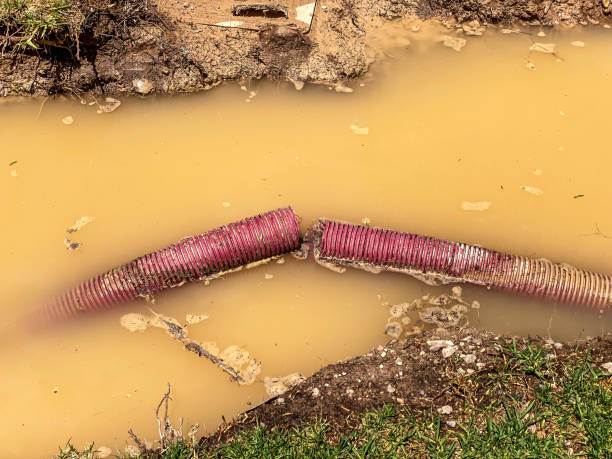 Best Residential water damage restoration  in Boulder City, NV